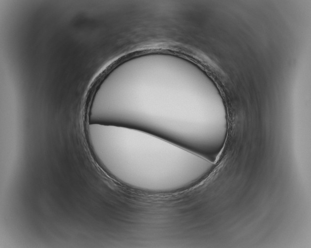 X0000116631216200912110954