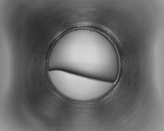 X0000116631217200912110954