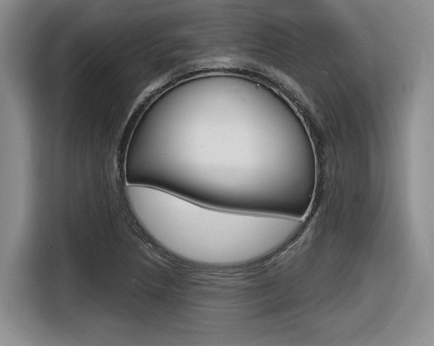X0000116631218200912110954