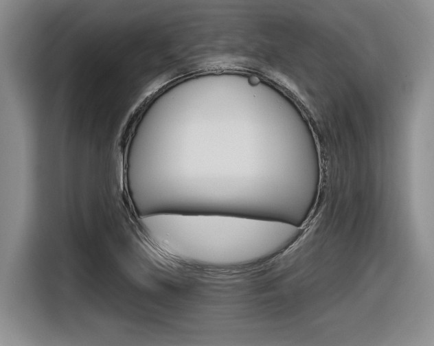 X0000116631219200912110954
