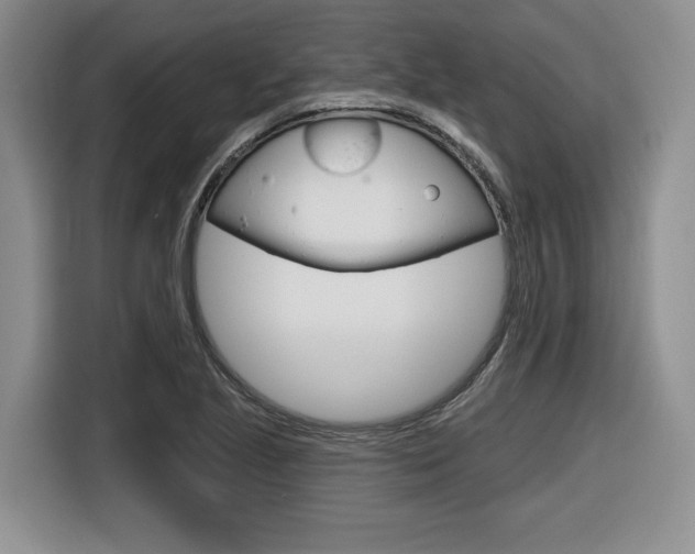 X0000116631221200912110954