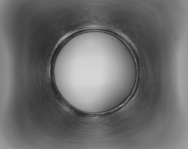 X0000116631222200912110954