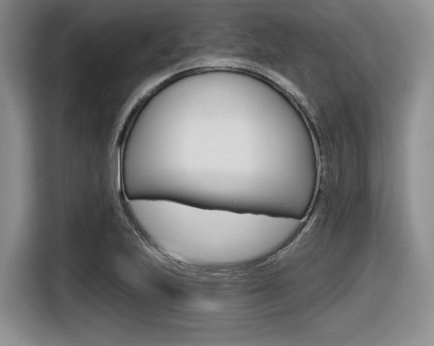 X0000116631223200912110954