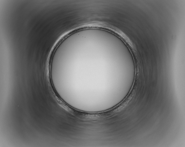 X0000116631232200912110954