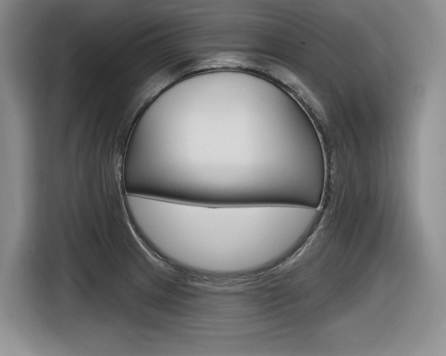 X0000116631233200912110954