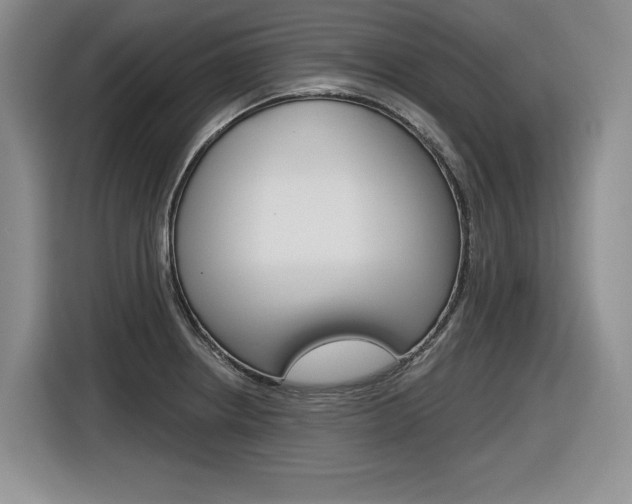 X0000116631234200912110954