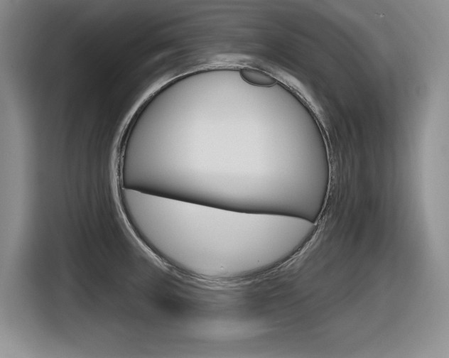 X0000116631235200912110954