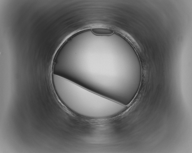 X0000116631236200912110954