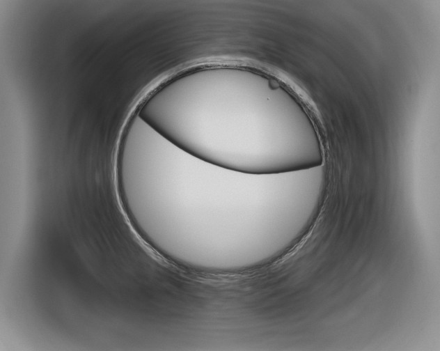 X0000116631237200912110954
