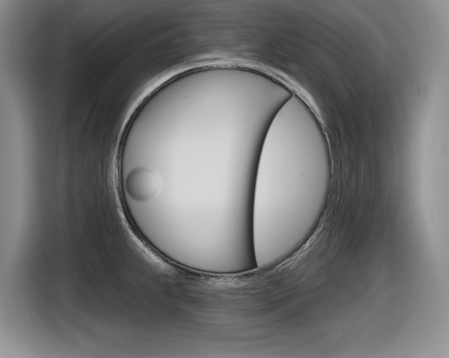 X0000116631239200912110954