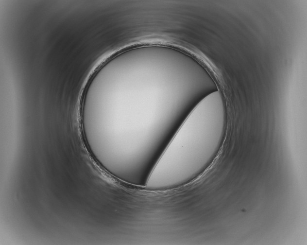 X0000116631240200912110954