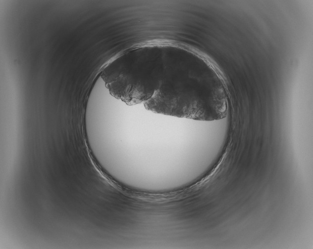 X0000116631241200912110954