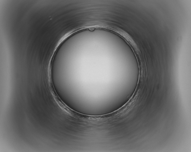 X0000116631242200912110954
