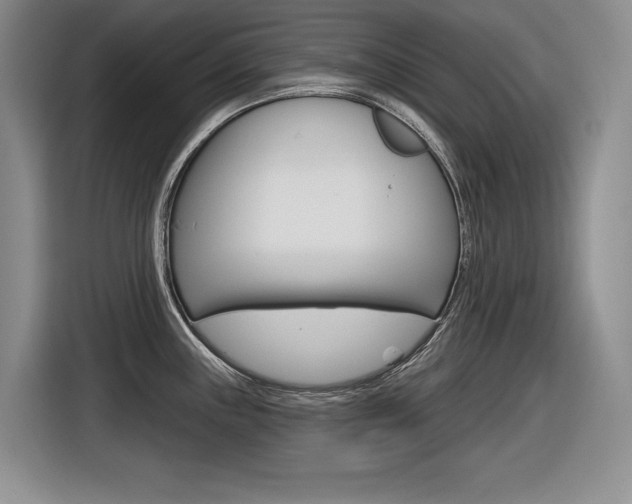 X0000116631243200912110954