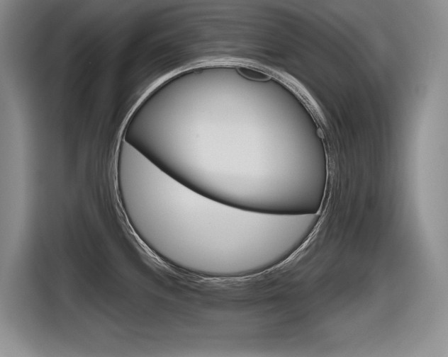 X0000116631244200912110954