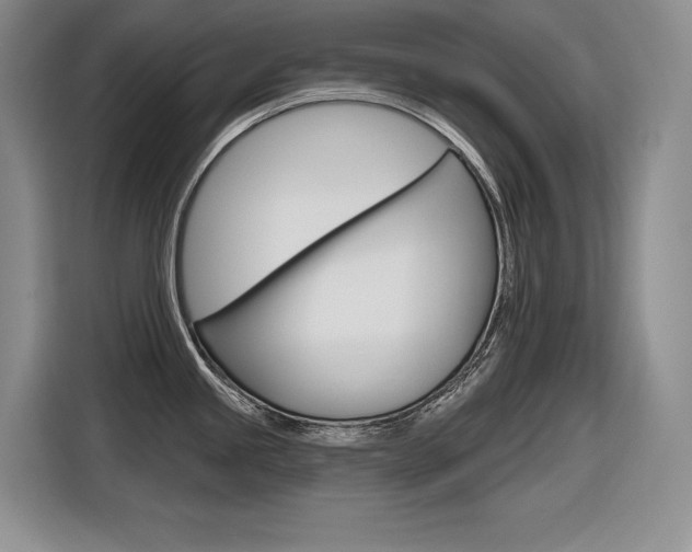 X0000116631245200912110954