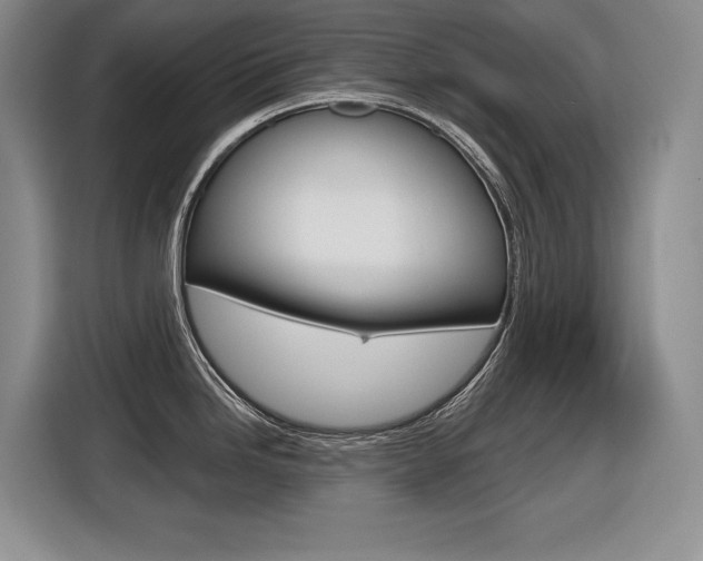 X0000116631246200912110954