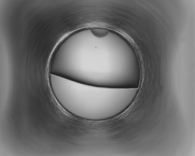 X0000116631248200912110954