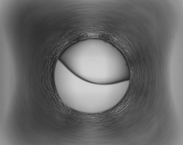 X0000116631249200912110954