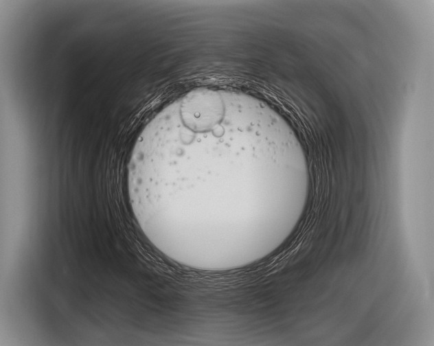 X0000116631250200912110954