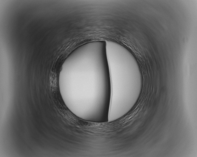 X0000116631251200912110954