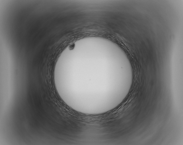 X0000116631253200912110954