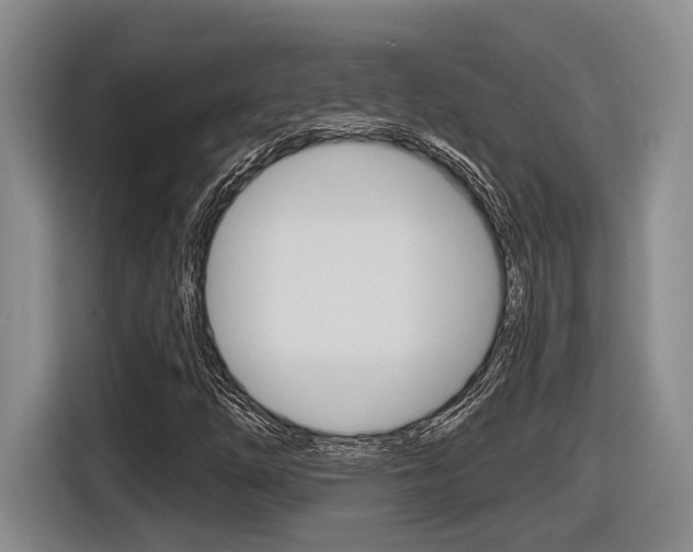 X0000116631254200912110954