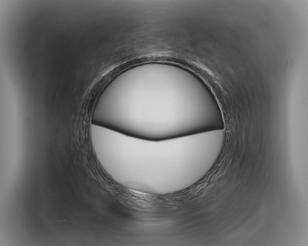 X0000116631255200912110954