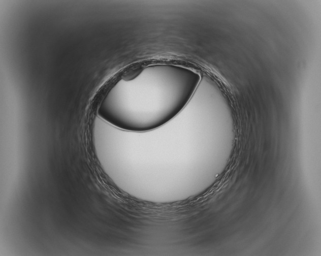 X0000116631256200912110954