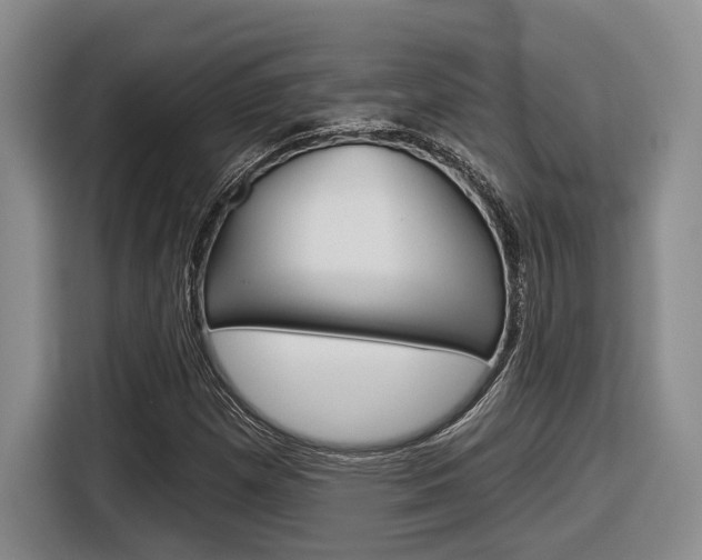 X0000116631257200912110954