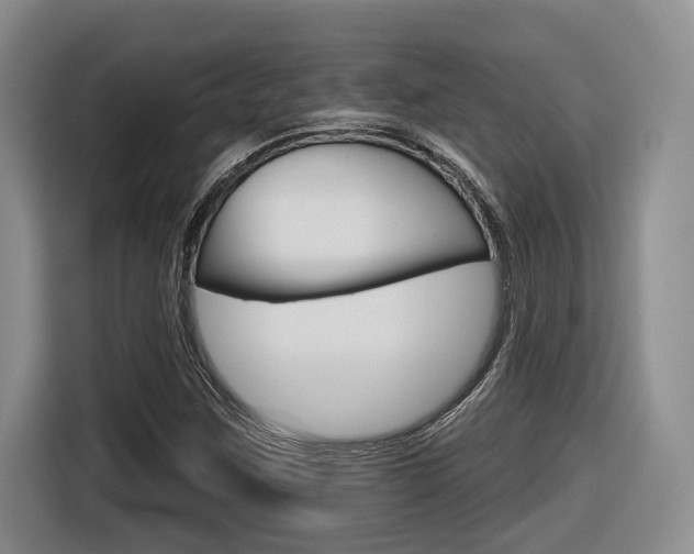 X0000116631259200912110954