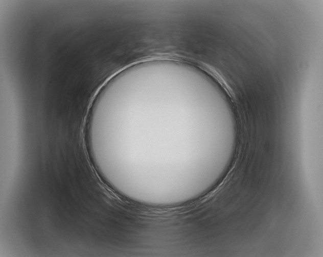 X0000116631260200912110954