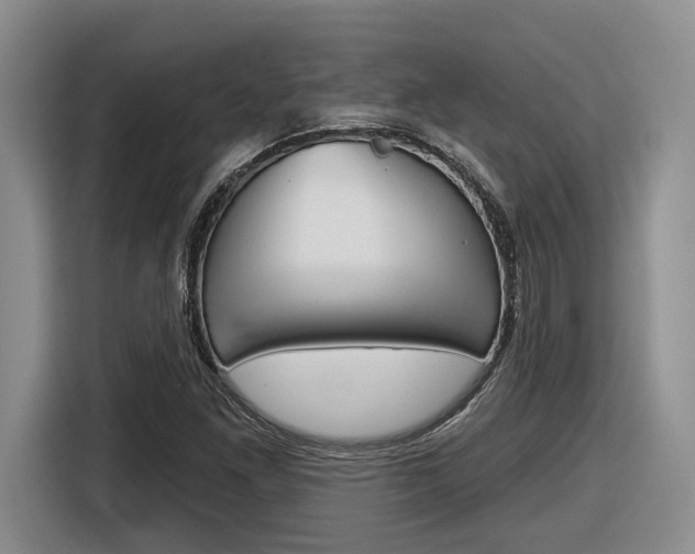 X0000116631261200912110954