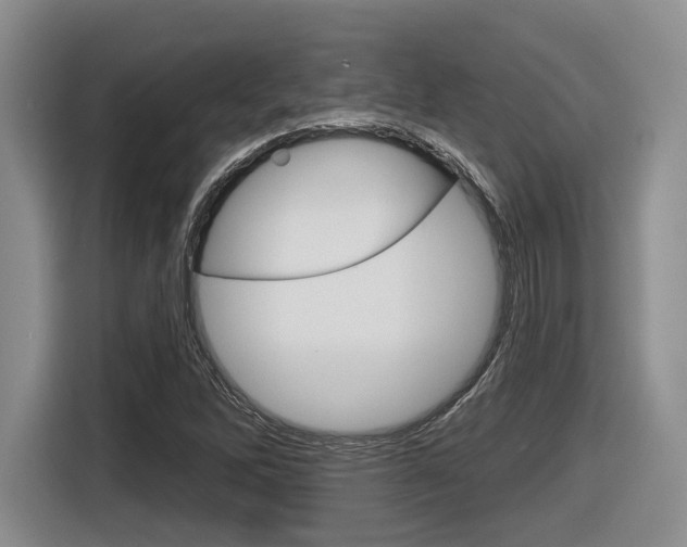 X0000116631262200912110954
