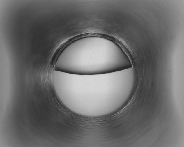 X0000116631263200912110954