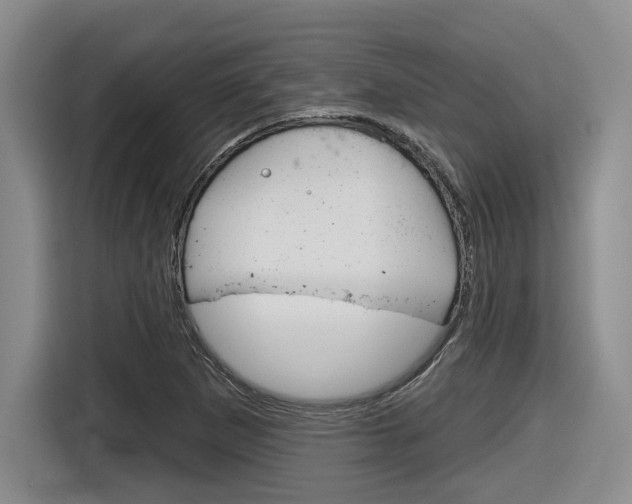 X0000116631265200912110954