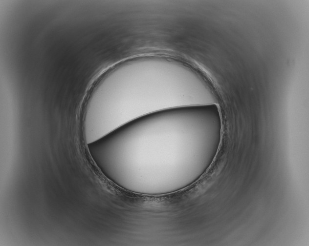 X0000116631267200912110953