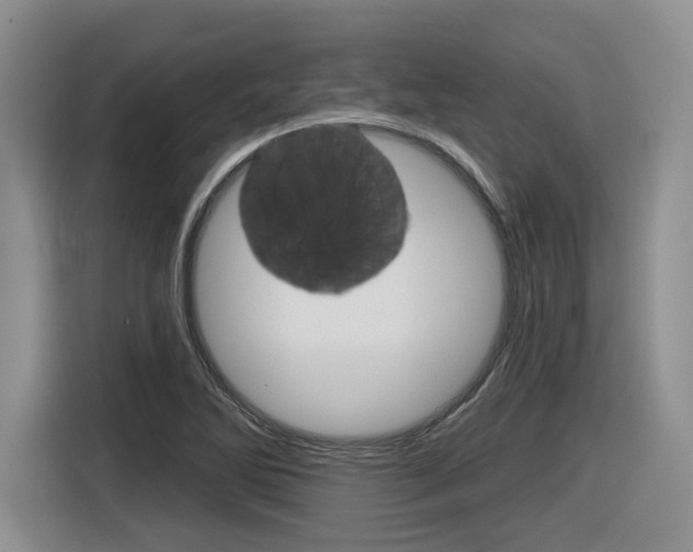 X0000116631270200912110953