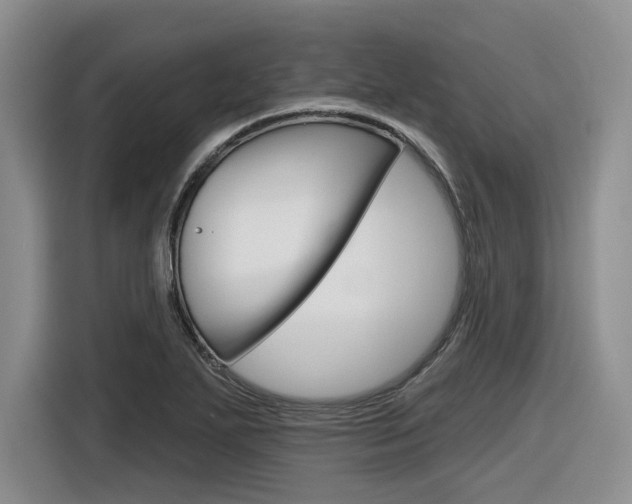 X0000116631271200912110953