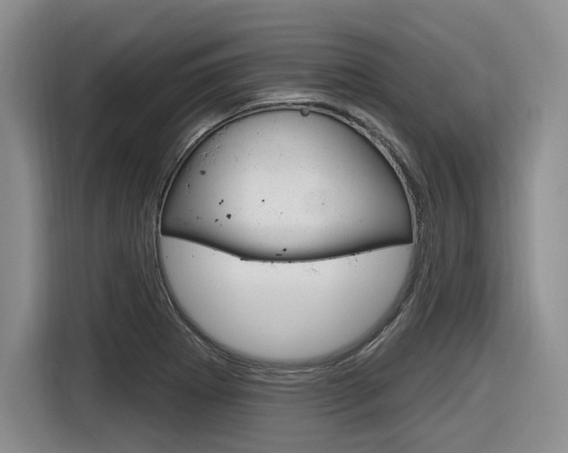 X0000116631273200912110953