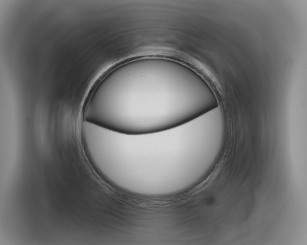 X0000116631275200912110953