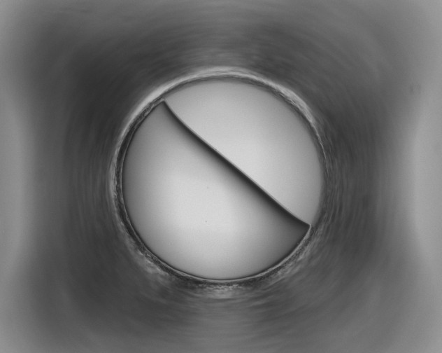 X0000116631279200912110953