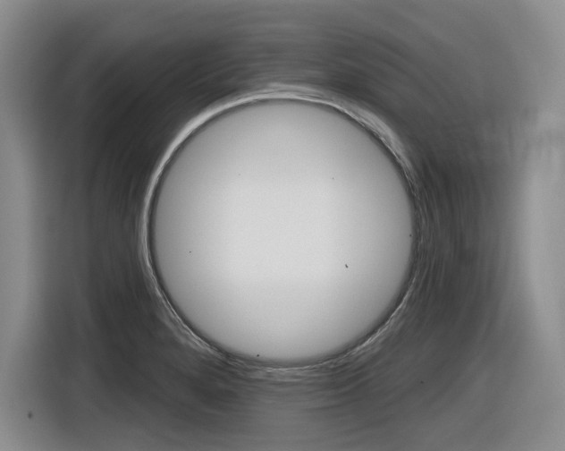 X0000116631280200912110953