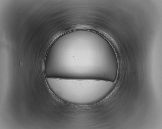 X0000116631281200912110953