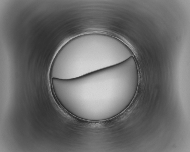 X0000116631283200912110953