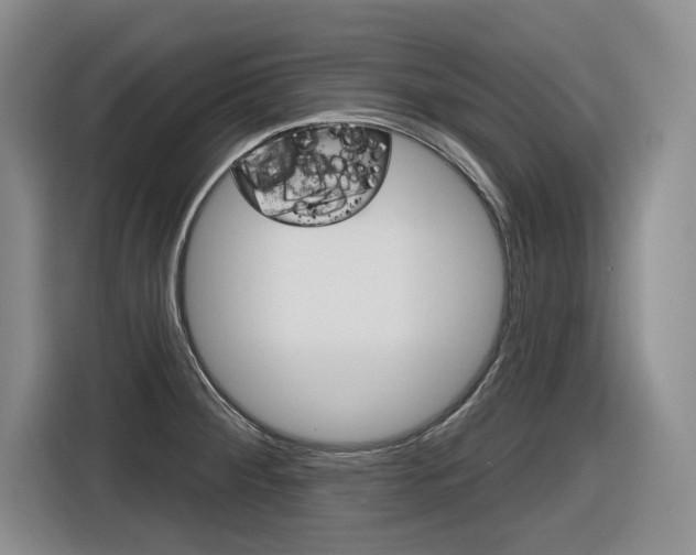 X0000116631284200912110953