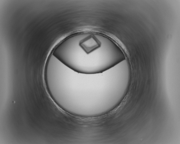 X0000116631285200912110953