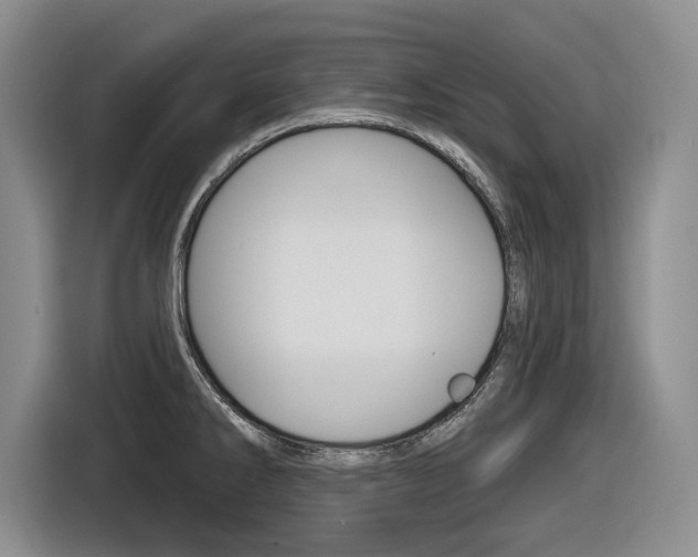 X0000116631286200912110953
