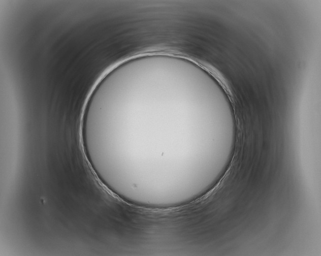 X0000116631288200912110953
