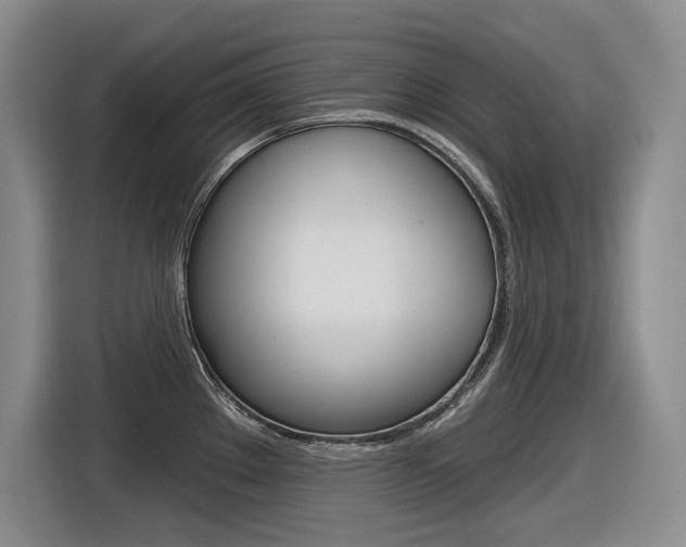 X0000116631289200912110953